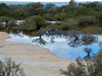 20090613 Australia Density Tour 0107  North Head