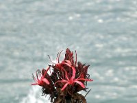 20090614 Australia Density Tour 0288