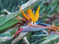 20090614 Australia Density Tour 0298