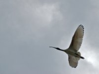 20090614 Australia Density Tour 0303