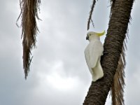 20090614 Australia Density Tour 0308  Kakadu