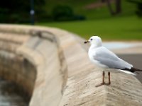 20090614 Australia Density Tour 0310