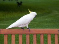 20090614 Australia Density Tour 0313